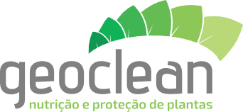 Geoclean